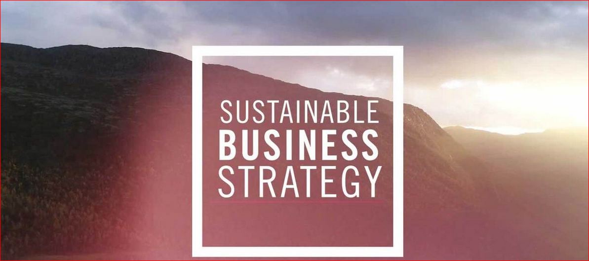 Sustainability in Business Strategy the next level for business growth