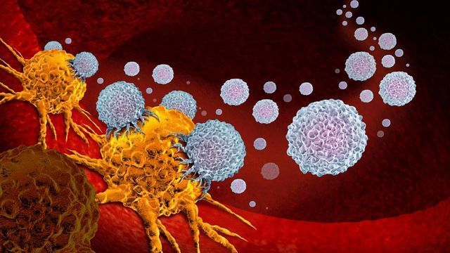 Then And Now: Mexican Immunotherapy