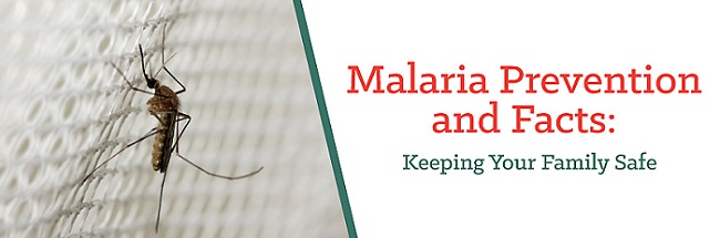 Unmasking the Silent Killer: Everything You Need to Know About Malaria